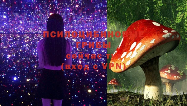 мескалин Балахна