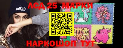 альфа пвп Аргун