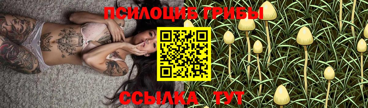 Псилоцибиновые грибы Cubensis  где купить наркоту  Воркута  Галлюциногенные грибы Psilocybe 