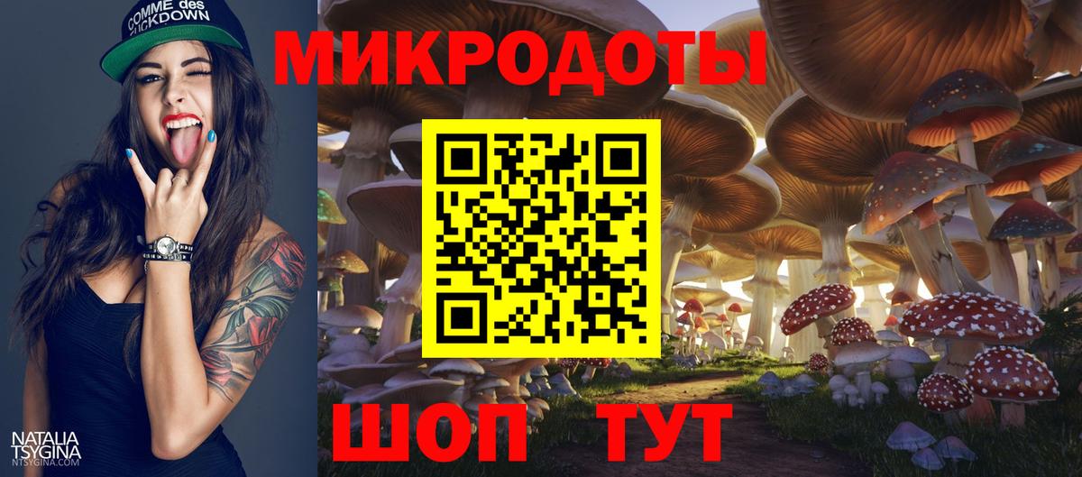 Галлюциногенные грибы Psilocybe Воркута