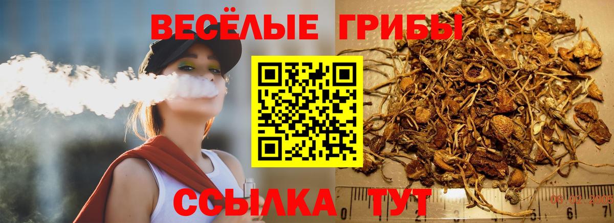 купить закладку  Вход с VPN  Воркута  Галлюциногенные грибы прущие грибы 